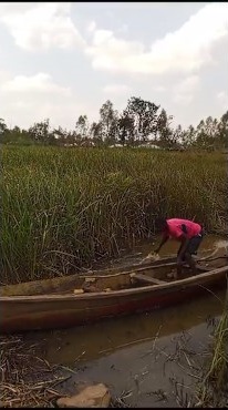 Agriculture impacted by flooding.